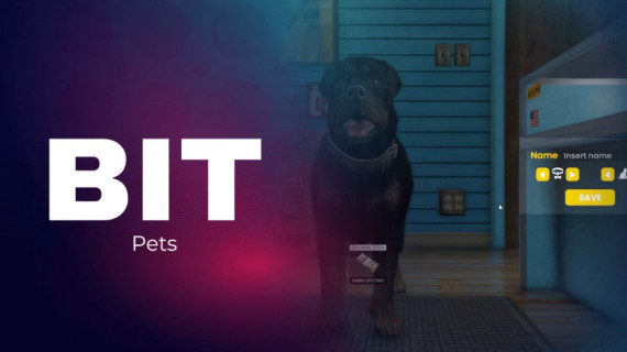 PETS SYSTEM FiveM | BIT Scripts | FiveM Scripts | Tebex